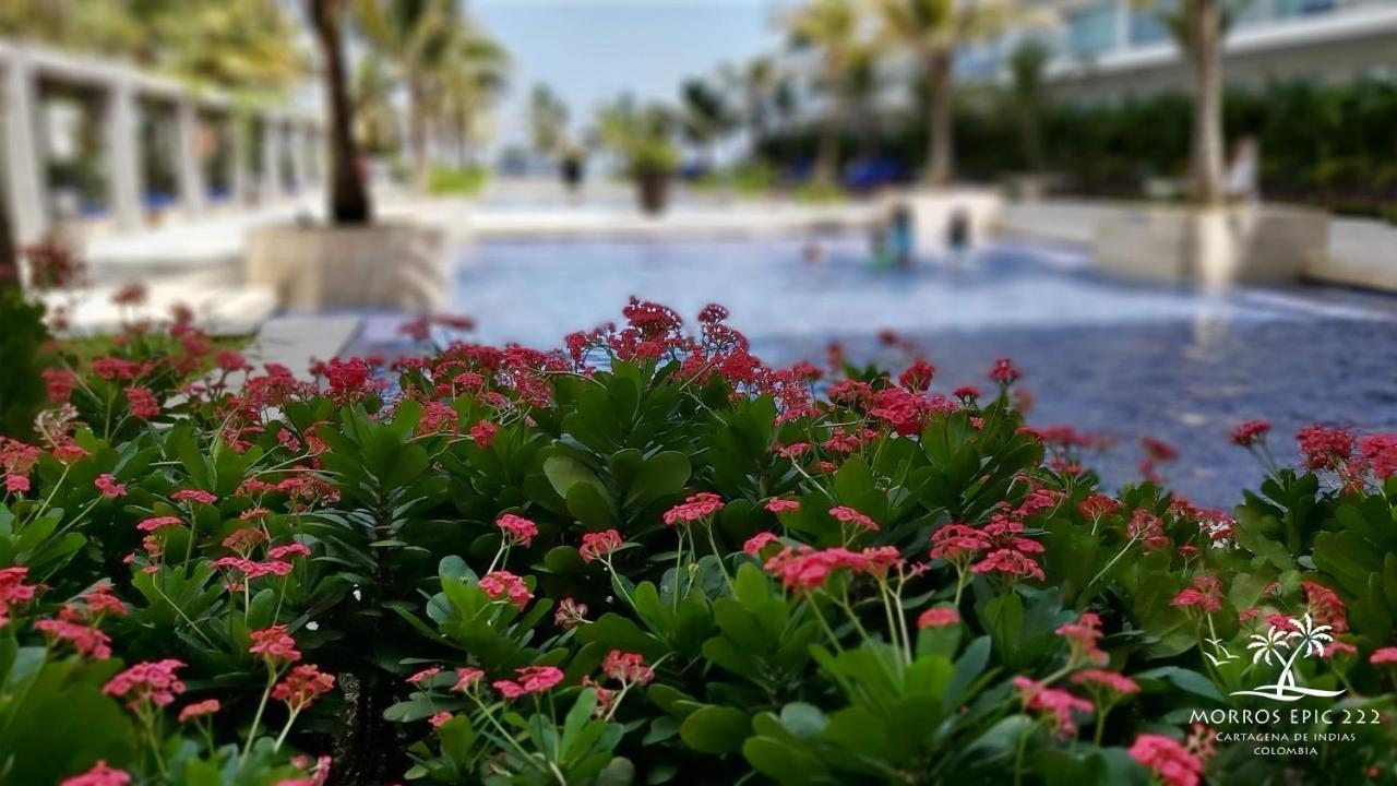 شقة Morros Epic 222 Cartagena المظهر الخارجي الصورة
